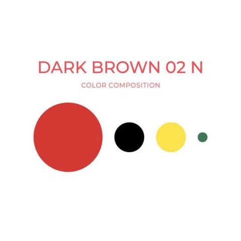 ARTYST Farbzusammensetzung Dark Brown 02N