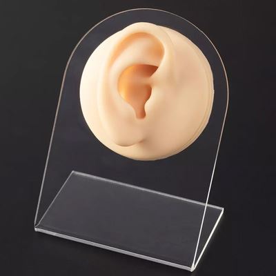 Silicon Display Rechte-Ohr mit Aufsteller