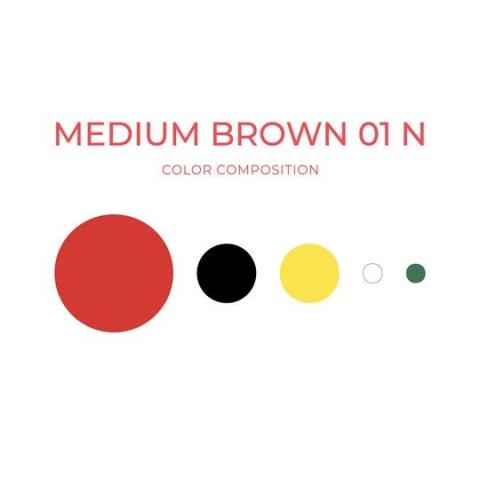 ARTYST Farbzusammensetzung-Medium Brown01N