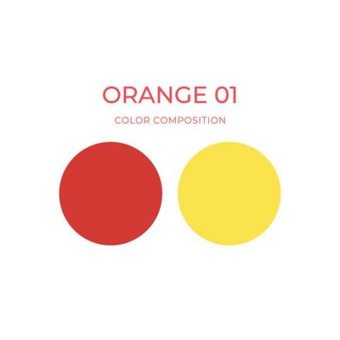 ARTYST Farbzusammensetzung Orange01
